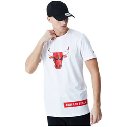 Vêtements Homme T-shirts & Polos New-Era CHICAGO BULLS BLOCK WORDMARK Blanc