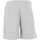 Vêtements Homme Shorts / Bermudas New-Era NBA STRIPE PIPING LOSLAK Gris