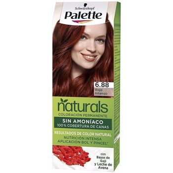 Beauté Femme Colorations Palette Natural Tinte 6.88-rojo Intenso 1 U 