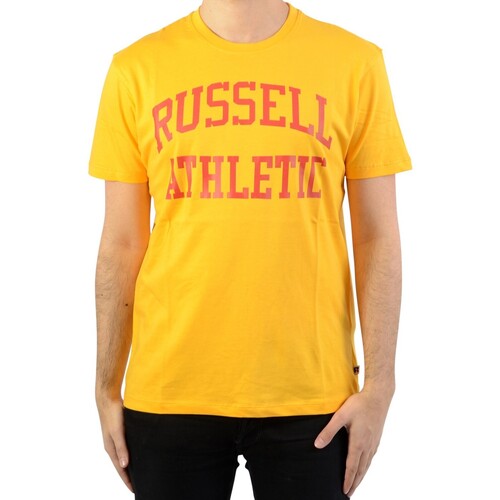 Vêtements Homme T-shirts manches courtes Russell Athletic Tee-Shirt Iconic SS Tee Doré