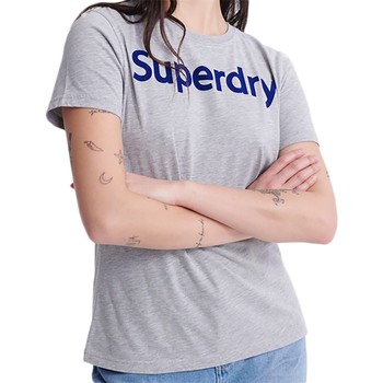 Vêtements Femme T-shirts & Polos Superdry Reg Flock Entry Blanc