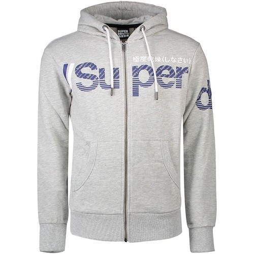 Vêtements Homme Sweats Superdry Sweat à Capuche Core Split Logo Zip Hood Gris