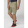 Vêtements Homme Shorts / Bermudas Helly Hansen QUICK DRY 11 INCH CARGO Beige