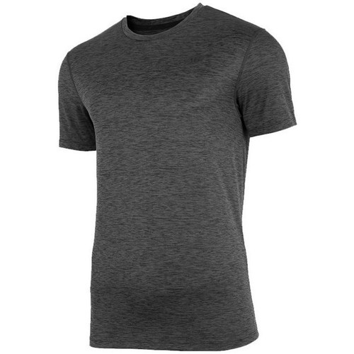 Vêtements Homme T-shirts manches courtes 4F TSMF003 Graphite