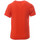 Vêtements Garçon T-shirts & Polos Hungaria H-15TOJYBOPS Orange