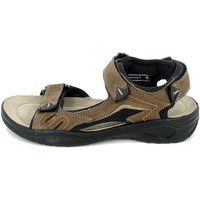 Chaussures Sandales et Nu-pieds Grisport 81501.02 Marron
