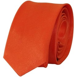 Vêtements Homme Cravates et accessoires Chapeau-Tendance Cravate unie slim Autres