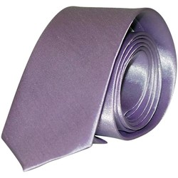 Vêtements Homme Cravates et accessoires Chapeau-Tendance Cravate unie slim Parme