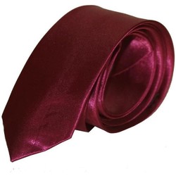 Vêtements Homme Cravates et accessoires Chapeau-Tendance Cravate unie slim Prune