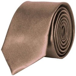 Vêtements Homme Cravates et accessoires Chapeau-Tendance Cravate unie slim Marron