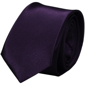 Vêtements Homme Cravates et accessoires Chapeau-Tendance Cravate unie slim Violet