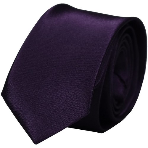 Vêtements Homme Cravates et accessoires Chapeau-Tendance Cravate unie slim Autres
