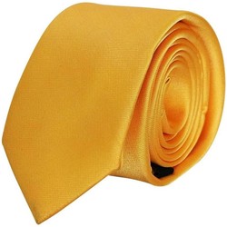 Vêtements Homme Cravates et accessoires Chapeau-Tendance Cravate unie GINGER Autres