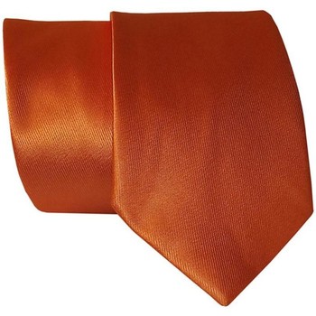 Vêtements Homme Cravates et accessoires Chapeau-Tendance Cravate unie GINGER Orange