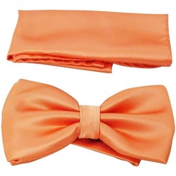 Vêtements Homme Cravates et accessoires Chapeau-Tendance Nœud papillon uni Orange