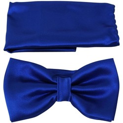 Vêtements Homme Cravates et accessoires Chapeau-Tendance Nœud papillon uni Bleu roi