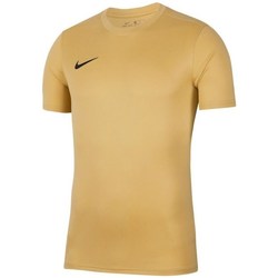 Vêtements Homme T-shirts manches courtes Nike Park Vii Beige