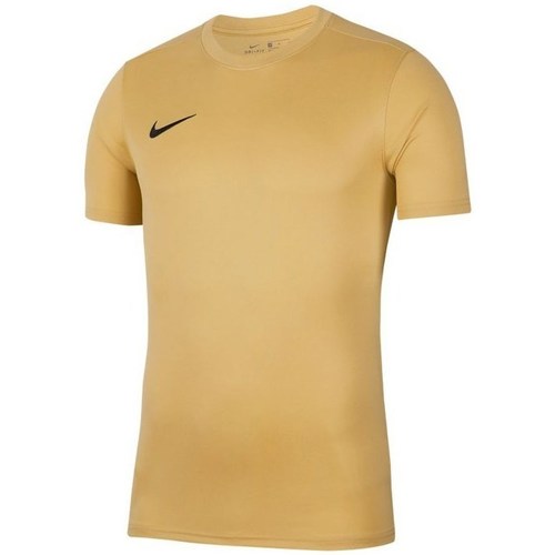 Vêtements Homme T-shirts Grey manches courtes Nike Park Vii Beige