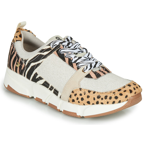 Chaussures Femme Baskets basses Gioseppo CREAZZO Leopard