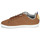 Chaussures Baskets basses Fruit Of The Loo COURTCLASSIC GS Marron