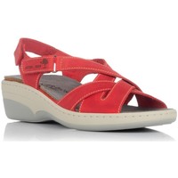 Chaussures Femme Sandales et Nu-pieds Interbios 3017 Rouge