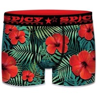 Sous-vêtements Garçon Boxers Spicy Underwear Boxer Garçon ASS1 Fleurs Vert