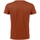 Vêtements Homme T-Shirt Intima Manica Lunga Merino Warm Active Turtle Neck 10553 Multicolore