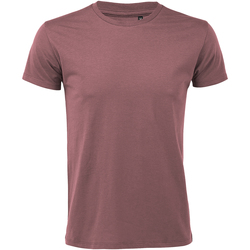Vêtements Homme T-shirts manches courtes Sols 10553 Mauve