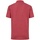Vêtements Enfant T-shirts polyester & Polos Fruit Of The Loom 63417 Rouge