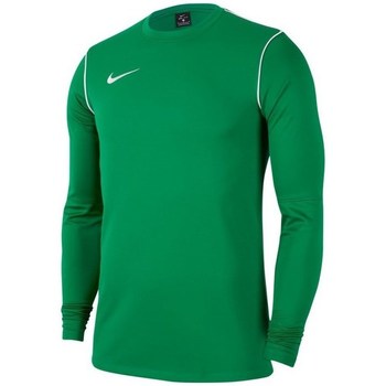Vêtements Homme Sweats Nike Park 20 Crew Vert