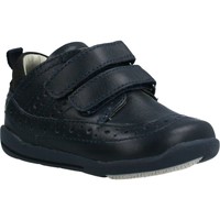 Chaussures Fille Baskets basses Chicco GIVAL Bleu