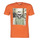 Vêtements Homme T-shirts manches courtes alec long sleeve oxford stripe shirt JORSKULLING Orange