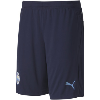 Vêtements Homme Shorts / Bermudas Puma Short  CITY Bleu