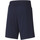 Vêtements Homme Shorts / Bermudas Puma CITY Bleu