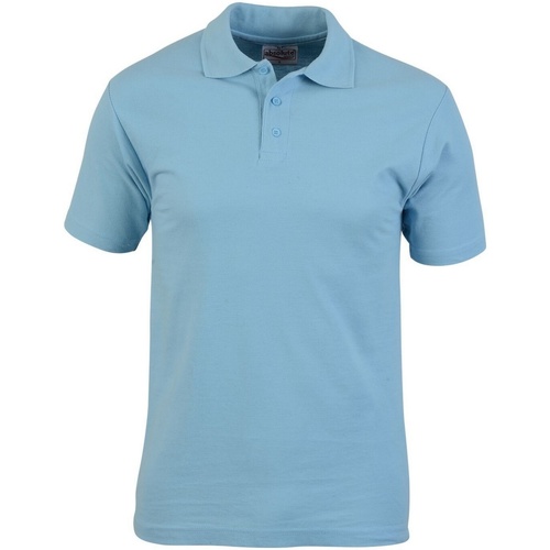 Vêtements Homme T-shirts & Polos Absolute Apparel  Bleu