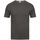 Vêtements Homme T-shirts manches courtes Absolute Apparel AB121 Gris