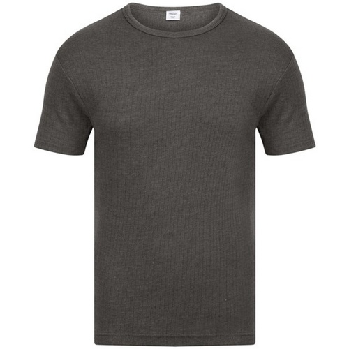Vêtements Homme T-shirts manches courtes Absolute Apparel AB121 Gris