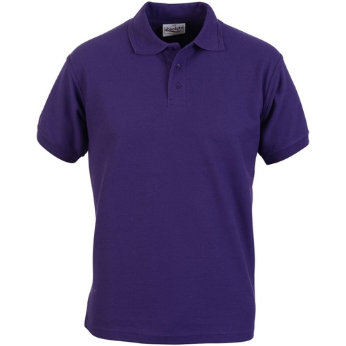 Vêtements Homme T-shirts & Polos Absolute Apparel Precision Violet