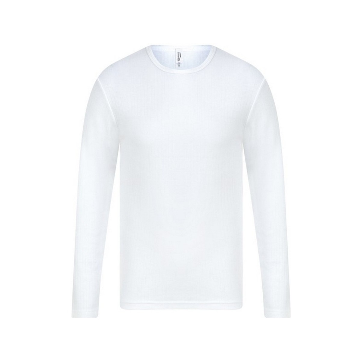 Vêtements Homme T-shirts manches longues Absolute Apparel AB122 Blanc
