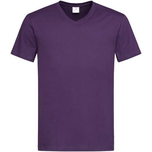 Vêtements Homme T-shirts Hilfiger manches longues Stedman AB276 Violet