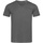 Vêtements Homme T-shirts manches longues Stedman Stars AB356 Gris