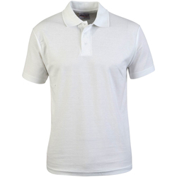 Vêtements Homme T-shirts & Polos Absolute Apparel AB104 Blanc
