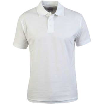 Vêtements Homme T-shirts & Polos Absolute Apparel  Blanc
