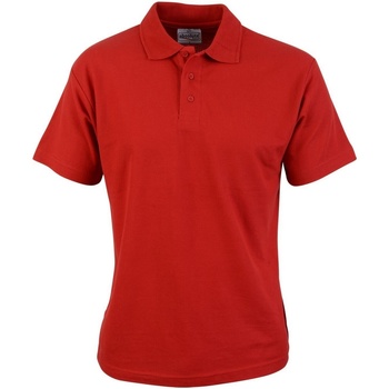 Vêtements Homme T-shirts & Polos Absolute Apparel  Rouge