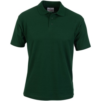 Vêtements Homme T-shirts & Polos Absolute Apparel  Vert