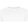 Vêtements Homme T-shirts manches longues Awdis JT099 Blanc
