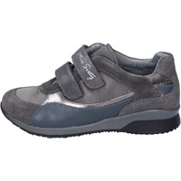 Chaussures Fille Baskets mode Miss Sixty BK180 Gris