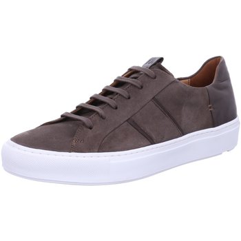 Chaussures Homme Baskets basses Lloyd  Gris