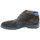 Chaussures Homme Boots Lloyd holmes Marron