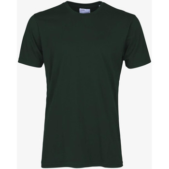 Vêtements Homme T-shirts & Polos Colorful Standard CLASSIC ORGANIC TEE Vert